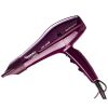سشوار پرینسلی مدل PR250AT