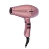 سشوار پرینسلی مدل PR252AT